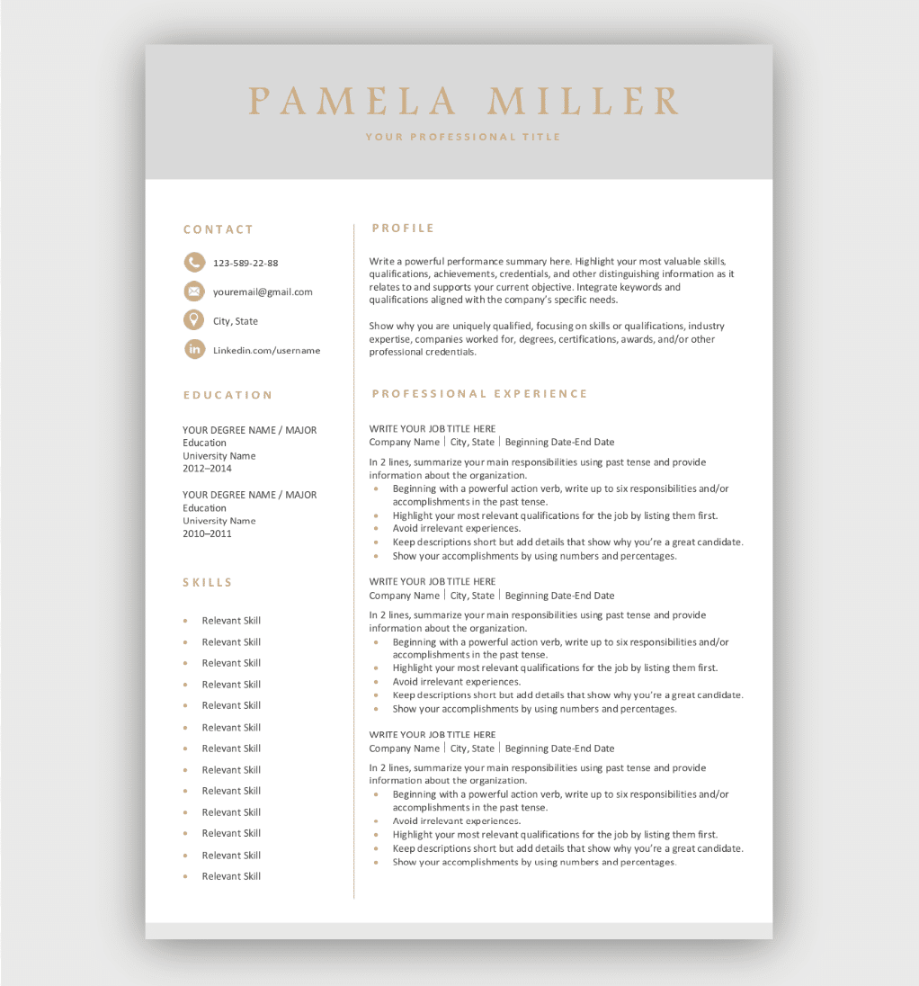 Professional Resume Template