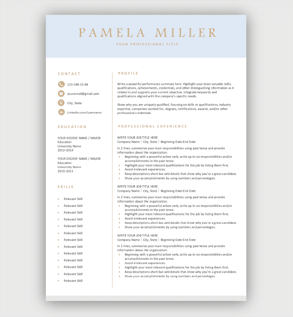 Professional Resume Template - Light Blue